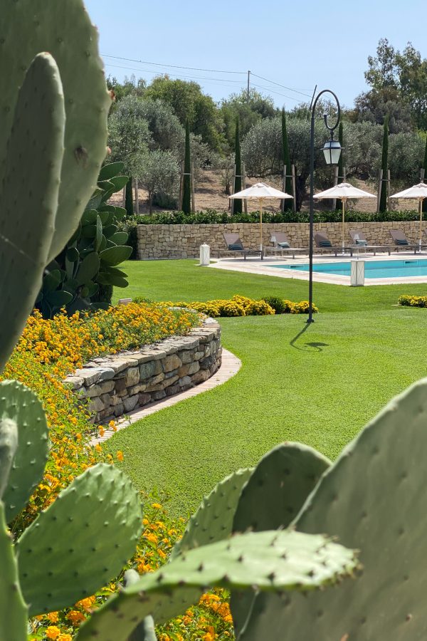 La Piscina 8